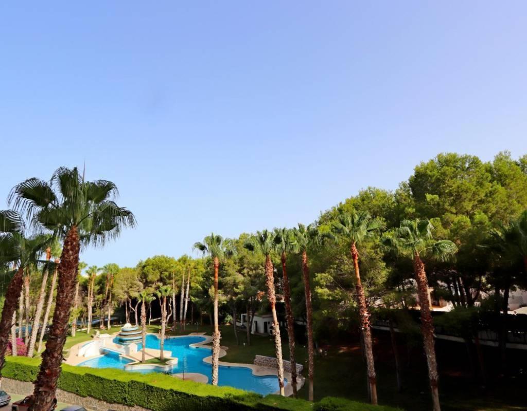 Apartment In Campoamor Overlooking The Swimming Pool Eksteriør billede