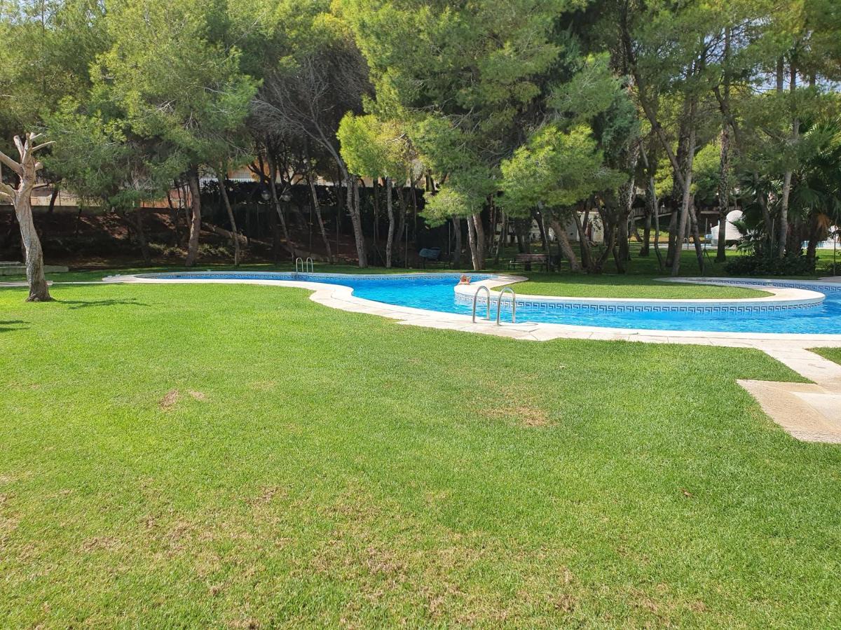 Apartment In Campoamor Overlooking The Swimming Pool Eksteriør billede